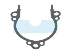 Joint De Carter Pour Echo (10024261830)