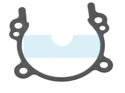 Joint De Carter Pour Débroussailleuse Echo (V102000030)