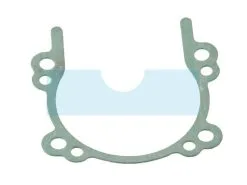 Joint De Carter Pour Débroussailleuse Echo (10024255930)