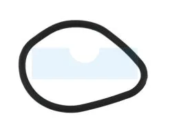 Joint De Jauge D'huile Pour Tecumseh (29610037)