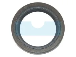 Joint Spi Pour Moteur Briggs & Stratton (391086S)