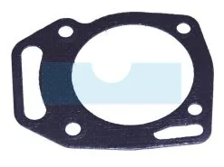 Joint De Culasse Pour Briggs Et Stratton (690888)