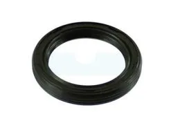 Joint Spi Pour Moteur Briggs & Stratton (291675S)