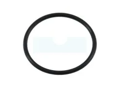 Joint Torique Pour Briggs & Stratton (697123)