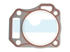 Joint De Culasse Pour Moteur Briggs & Stratton (590606)