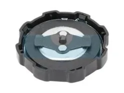 Bouchon D'essence Pour Moteur Briggs & Stratton (794641)