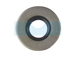 Joint Spi Pour AS Motor (E03345)